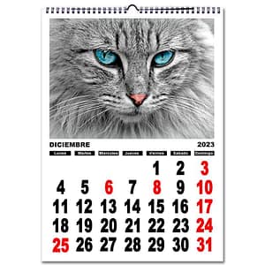 CALENDARIO-NUMEROS.jpg Calendario personalizado con fotos pared NÚMEROS A3