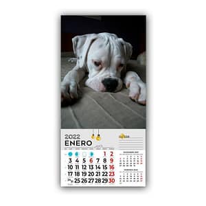 calendario-iman-nevera-15x20-1.jpg Calendario Imán nevera 15x20