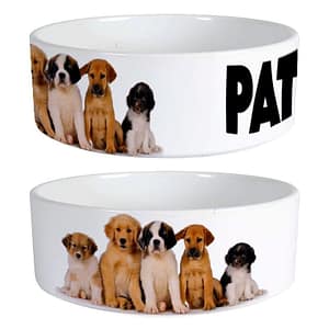cuenco-personalizado-mascotas.jpg Cuenco personalizado con fotos
