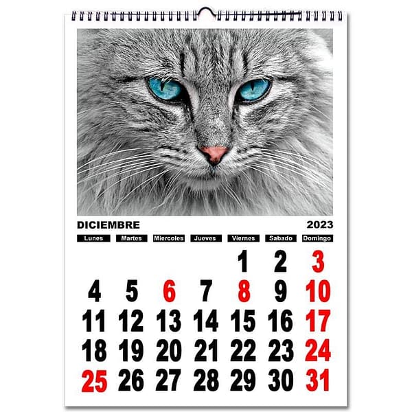 CALENDARIO-NUMEROS.jpg Calendario personalizado con fotos pared NÚMEROS A4